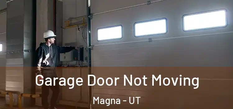  Garage Door Not Moving Magna - UT