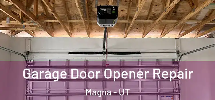  Garage Door Opener Repair Magna - UT
