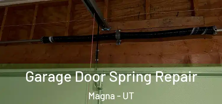  Garage Door Spring Repair Magna - UT