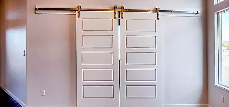 Glass Barn Door with Installation Hardware Kit Magna