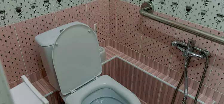 Meeting Diverse Needs With Accessible Restroom Solutions in Magna, UT